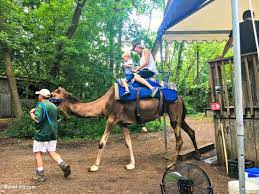 Cherish this moment forever by purchasing a souvenir photo of your ride! Incredible Michigan Zoos And Aquariums To Take Your Kids This Summer