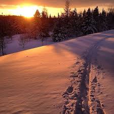 Pure Michigan Pure Michigan Winter Wallpaper Winter Wonder