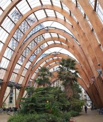 Sheffield Winter Garden Sheffield Wintergardens Glasshouse Garden Architecture Organic Architecture Timber Architecture