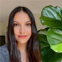 Datavant IT Department