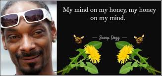 Humans prioritize aesthetics over ecosystem health