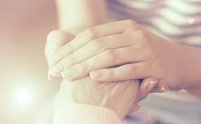 Services Domestiques Pole Emploi