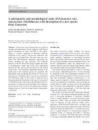 Image result for Polystachya kermesina