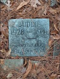 We did not find results for: Man Brought To Tears When He Stumbles Upon 80 Year Old Dog Grave In Louisiana Park Familypet