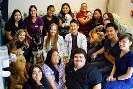 We are proud to provide dogs, cats, and their people with care and service from. Veterinarian In Union City San Jose Vet Near You Uni Pet Clinic