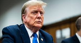 Full jury chosen in Donald Trump's hush money trial after dozens dismissed 