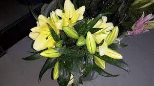 Passiflora Fleur Maison Surabaya Home Facebook