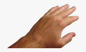 Hands Png Free Images Pictures Download Hand Pov Hand Png Free Transparent Clipart Clipartkey 1,142,000+ vectors, stock photos & psd files. pictures download hand pov hand png