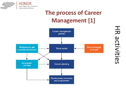 Human Resources Management In Public Administration