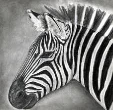 The sea chest provides an intake reservoir from which piping systems draw raw water. How To Draw A Zebra Draw A Realistic Zebra Coloring Page Trace Drawing