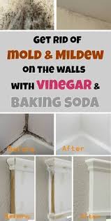 Get Rid Of Mold Mildew On The Walls With Vinegar And Baking Soda House Cleaning Tips Cleaning Household Deep Cleaning Tips