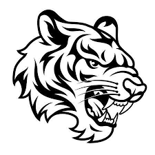 Roaring Tiger S Head Isolated On White Black And White Vector Tiger Sketch Tiger Drawing Tiger Artwork