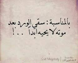 لانني انثى عمياء Words Quotes Talking Quotes Mixed Feelings Quotes
