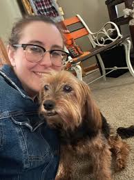 Chewbacca, our GSD, wishes everyone Happy HOWLidays 🐾🎅🏻🐾