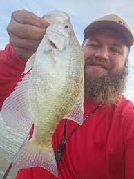 🚨🚨🚨🚨🚨🚨🚨PSA!!!🚨🚨🚨🚨🚨🚨🚨 PLEASE HELP US LOCATE OUR HILLBILLY!! HE  ANSWERS TO John, BUT SHOULDNT BE APPROACHED! HE IS NOT DOMESTICATED!!! IF  YOU SEE OUR BELOVED HILLBILLY PLEASE CONTACT Tina Marie Payne or Clifford