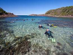 Bushrangers Bay Aquatic Reserve Snorkelling South Coast Nsw Snorkeling