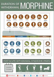 The Morphine Withdrawal Timeline Chart