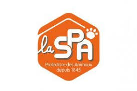 Societe Protectrice Des Animaux Spa L Association Lutte Au Quotidien Pour La Protection Animale Societe Protectrice Des Animaux Protection Des Animaux Spa