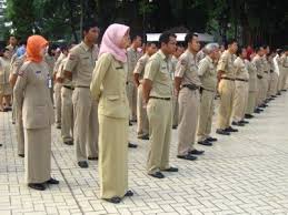 Hasil gambar untuk pns