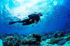 Geneinno robotic arm for t1 $399.00. Scuba Diving In Dubai Book Now Flat 23 Off