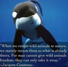 By th' mass, and 'tis like a camel, indeed. Quotes About Whale 123 Quotes