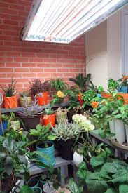 ‎show bloom and grow radio, ep understanding natural light: Episode 46 Understanding Natural Light General Rules Bloom Grow Radio