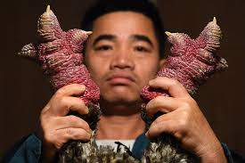 Nintendo's Super Mario set to open first US theme park in California