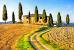 Under The Tuscan Sun