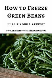 You can freeze green beans in just a few easy steps. How To Freeze Green Beans The Self Sufficient Homeacre