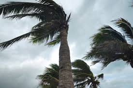 In a broader sense, it is the flow of gases that compose an atmosphere. What To Do During High Winds Effects Of Windstorms Direct Energy