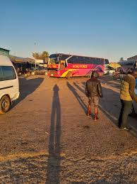 Image result for Habenaria rhopalostigma