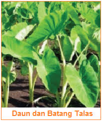 We did not find results for: Kandungan Dan Manfaat Kulit Kentang Daun Wortel Kulit Bawang Melinjo Batang Daun Brokoli Talas Kandungan Manfaat Bagian Hasil Samping Sayuran