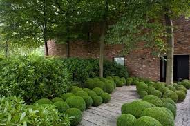 Alpha Green Tuinen Boxwood Garden Topiary Garden Garden Design