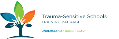 Trauma basics for youth workers. Trauma Sensitive Schools Training Package Safe Supportive Learning