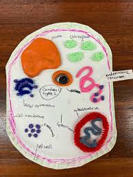 We would like to show you a description here but the site won't allow us. E News Web