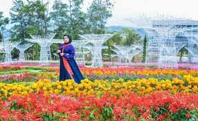 Inilah Penampakan Taman Bunga Celosia Semarang 2019