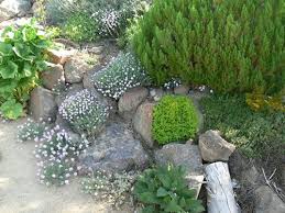Backyard Retreat By Dry Creek Garden Co In Reno Nv Landscape Design Plans Outdoor Gardens Landscape Services