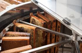 Dazu wird ein speziell honigschleudern ist eine arbeit, die fix vonstatten gehen sollte, da das schleudern umso schwerer. Honig Schleudern Bee Info Bieneninfo