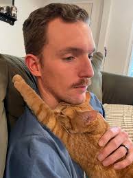 Rehoming a 3-year-old neutered tabby cat in Olympia