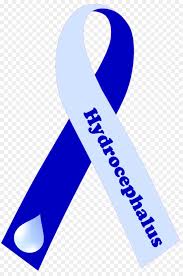 فولكس فاجن تنهي انتاج جولف الكهربائية لتصنيع id.3 الجديدة. Ø´Ø¹Ø§Ø± Ø§ÙƒØ³Ø³ÙˆØ§Ø±Ø§Øª Ø§Ù„Ù…Ù„Ø§Ø¨Ø³ ØªÙˆØªÙ†Ù‡Ø§Ù… Ù‡ÙˆØªØ³Ø¨ÙŠØ± Fc ØµÙˆØ±Ø© Ø¨Ø§Ø¨ÙˆØ§ Ù†ÙŠÙˆ ØºÙŠÙ†ÙŠØ§