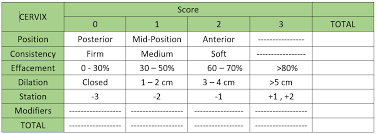 Learn vocabulary, terms and more with flashcards, games and other study tools. Bishop Score Calculator Predicting Labor Induction Success