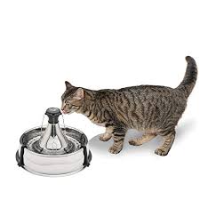 Ideas on how to diy fountain: 5 Best Auto Fill Dog Water Bowl Brands Of 2020 Buyer S Guide Reviews