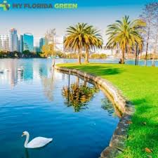 Orlando davis is a certified professional with the ability to provide medical marijuana card evaluations in catonsville, md. How To Find Trusted Marijuana Dispensaries In Orlando Journal