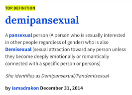 Pin On Demipansexual Lgbt Pride