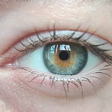 Apprendre à écouter sa voix peut aider à voir plus clair, que l'on la discussion a pour objectif d'y voir plus clair sur sa mise en œuvre effective par les régions et d'identifier sa complémentarité [. Heterochromie Wikipedia