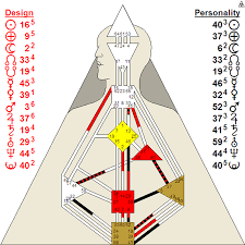 what is on a chart phoenix human design