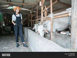 We did not find results for: Cowgirl Wearing Hat Image Photo Free Trial Bigstock