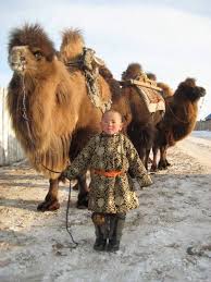 How do i specify which method to use when using and the concrete walk through a plain old java main example: Mongolian