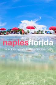 Top Things To Do In Naples Florida The Ultimate Guide To The Paradise Coast Florida Travel Guide Visit Florida Florida Travel