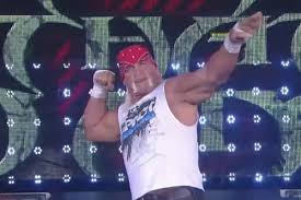 Hulk Hogans final televised wrestling match left fans in shock